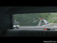 state stoners GIF