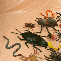 cartuna stop motion cartuna miniatures erma fiend GIF