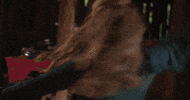 emilyannroberts country wild musicvideo thevoice GIF