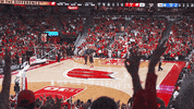 Ncaa Basketball Sport GIF by Wisconsin Badgers