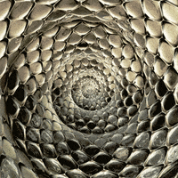 snake visuals GIF by xponentialdesign