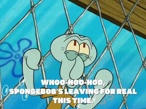 season 5 GIF by SpongeBob SquarePants