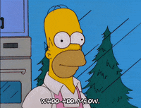 homer simpson GIF