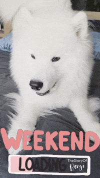 Weekend Week GIF