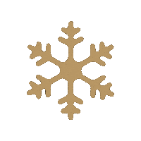 Snowflake Flyswiss Sticker by Swiss International Air Lines