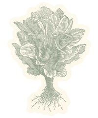 Koncept Sticker by Orkla FoodSolutions