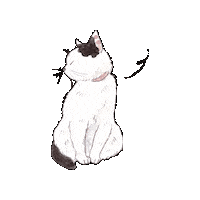 Cat ねこ Sticker