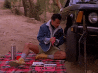 season 2 GIF by Twin Peaks on Showtime