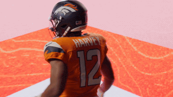 Denver Broncos Football GIF by Broncos
