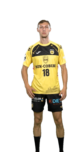 Sport Handball Sticker by HSC 2000 Coburg