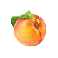 Tea Peach Sticker by Caribou Coffee