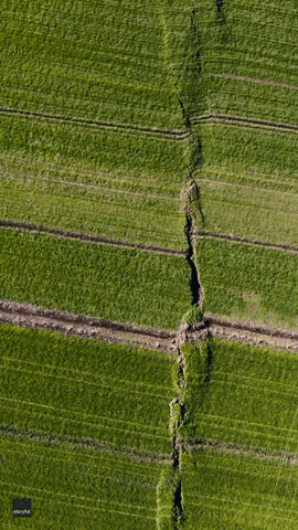 Drone Footage Shows Surface Rupture in Kahramanmaras After Earthquakes
