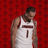 Louisville Basketball Cards GIF by Louisville Cardinals