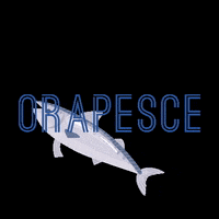 Fish Kitchen GIF by ORAPESCE