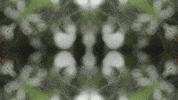 Art Love GIF by jorgemariozuleta