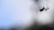 yulikamurakami  GIF