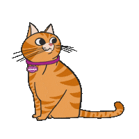 Cat Racao Sticker by Whiskas Brasil