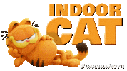 Garfield Outdooradventure Sticker by Sony Pictures