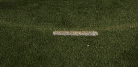 Lacrosse GIF by Lafayette Leopards