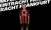 Vamos Come On GIF by Eintracht Frankfurt