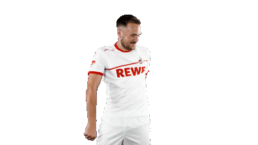 soccer celebration Sticker by 1. FC Köln