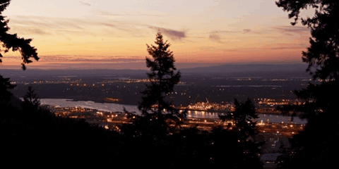 douglaspitassi giphygifmaker giphyattribution GIF