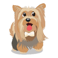 Dog Pet Sticker