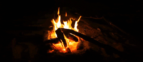 fire campfire GIF by Jerology