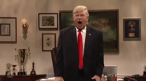 donald trump snl GIF by Saturday Night Live