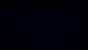 Game Stoat GIF by Devolver Digital