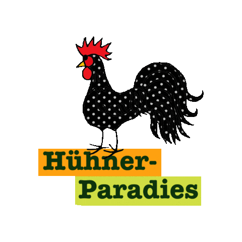 Rooster Hahn Sticker