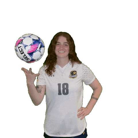 Womens Soccer Sticker by Clarke University