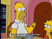 homer simpson GIF