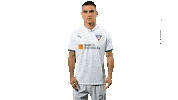 Ldu2020 Sticker by LDU_Oficial