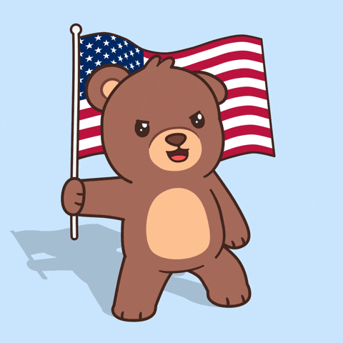 Teddy Bear Usa GIF by BEARISH