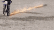 Music Video GIF by Bad Bunny