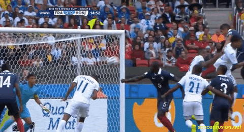 france brazil GIF by Fusion