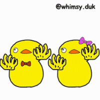 Couple Duck GIF