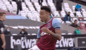 West Ham Reaction GIF by MolaTV