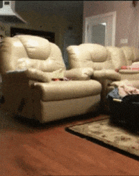 GIF by Jacob Graff