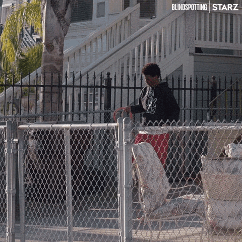 Bay Area Starz GIF by Blindspotting
