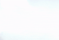 Grad GIF by UAlbany