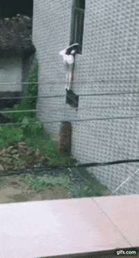 girl fail GIF
