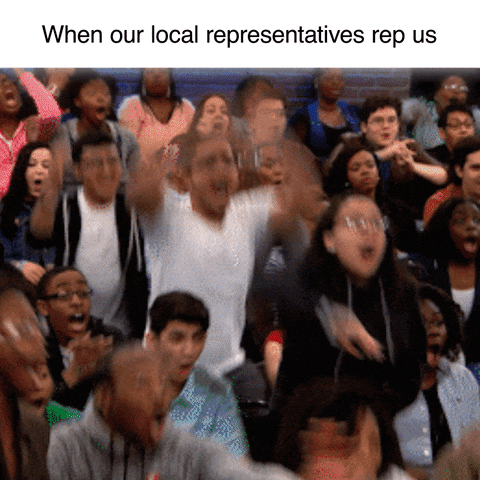 Meme gif. A large audience at an indoor TV taping cheers and claps uproariously, some people getting to their feet in amazement and shock. Text, "When our local representatives rep us."