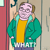 Bojack Horseman GIF by NETFLIX