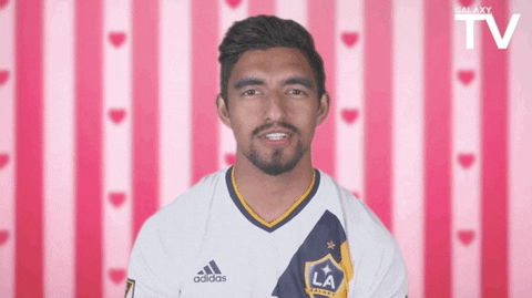 soccer love GIF by LA Galaxy