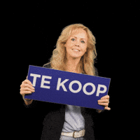 DeKoningWonen makelaardij te koop dekoningmakelaars de koning makelaars GIF