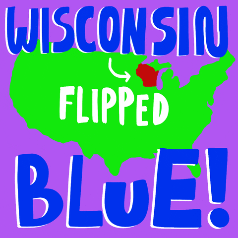 Election 2020 Wisconsin GIF by Creative Courage