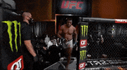 Francis Ngannou Sport GIF by UFC