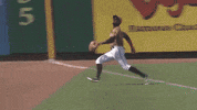 GIF by Down East Wood Ducks